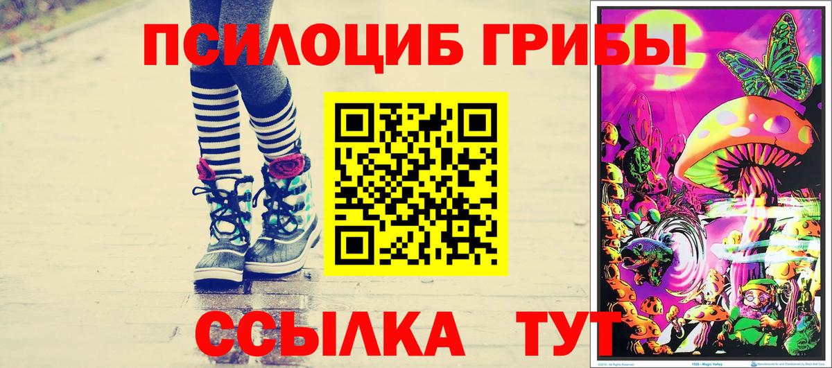 Выборг  Псилоцибиновые грибы мухоморы  Вход с VPN 
