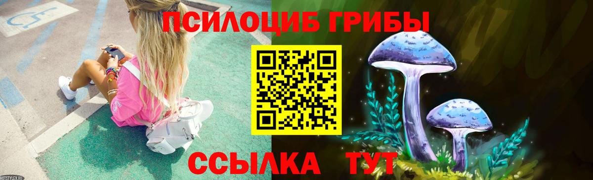 Псилоцибиновые грибы Psilocybine cubensis Выборг